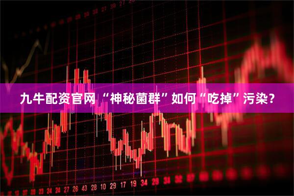 九牛配资官网 “神秘菌群”如何“吃掉”污染？