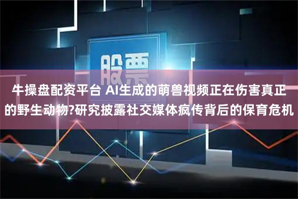 牛操盘配资平台 AI生成的萌兽视频正在伤害真正的野生动物?研究披露社交媒体疯传背后的保育危机