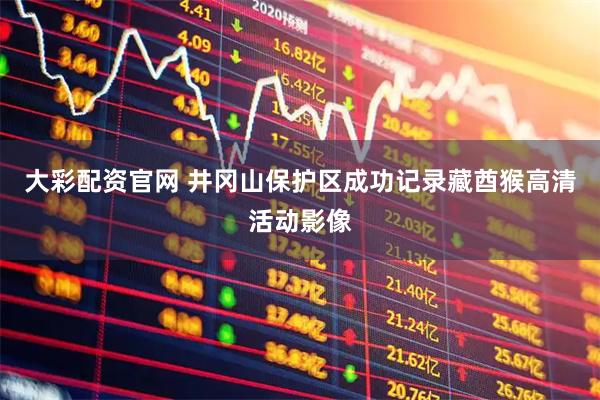 大彩配资官网 井冈山保护区成功记录藏酋猴高清活动影像