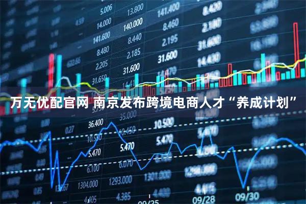 万无优配官网 南京发布跨境电商人才“养成计划”
