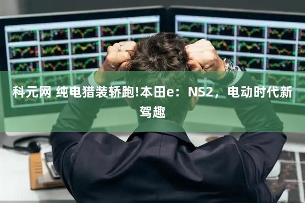 科元网 纯电猎装轿跑!本田e：NS2，电动时代新驾趣