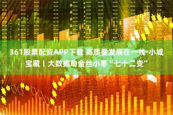 361股票配资APP下载 高质量发展在一线·小城宝藏丨大数据助金丝小枣“七十二变”