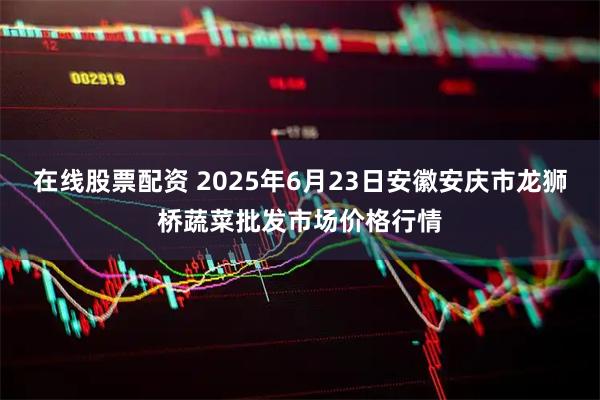 在线股票配资 2025年6月23日安徽安庆市龙狮桥蔬菜批发市场价格行情